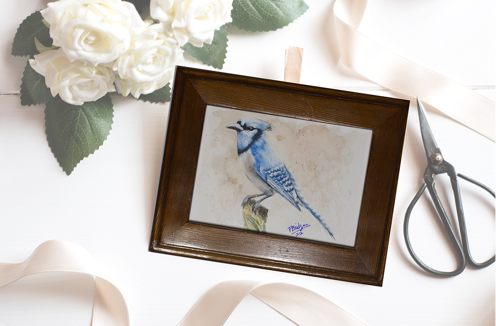 Thumbnail: 5x7 watercolor painting of a blue jay bird looking to the left on a stu