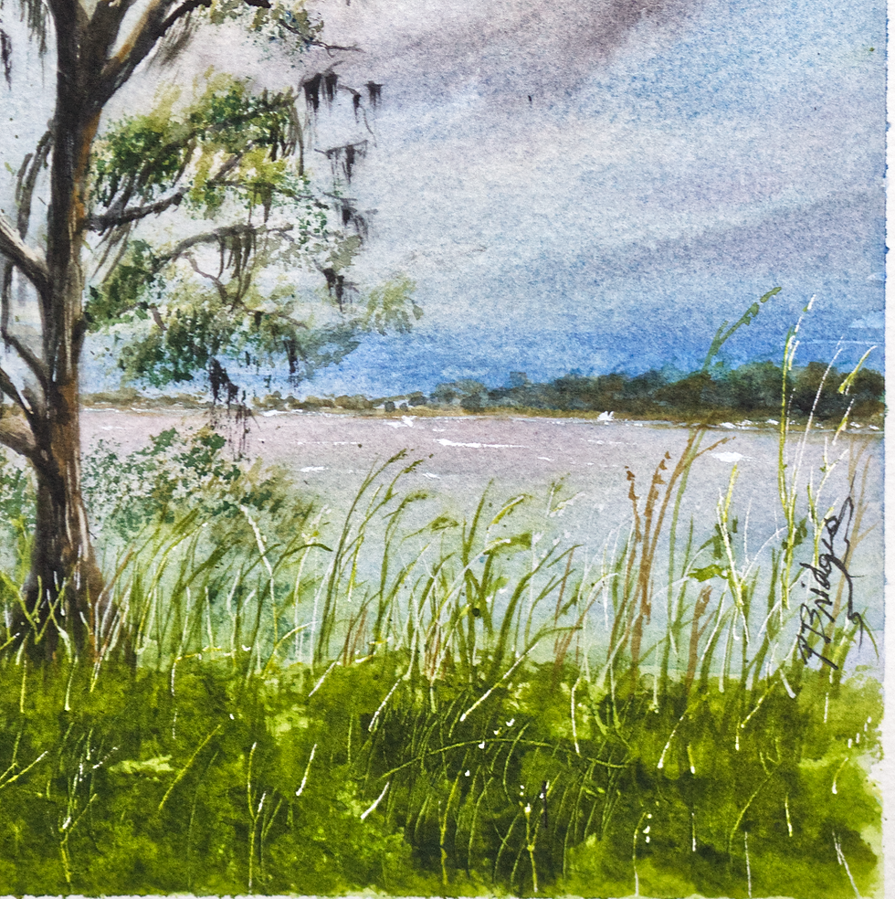 Blakeley State park in Alabama, Tree on the Bay