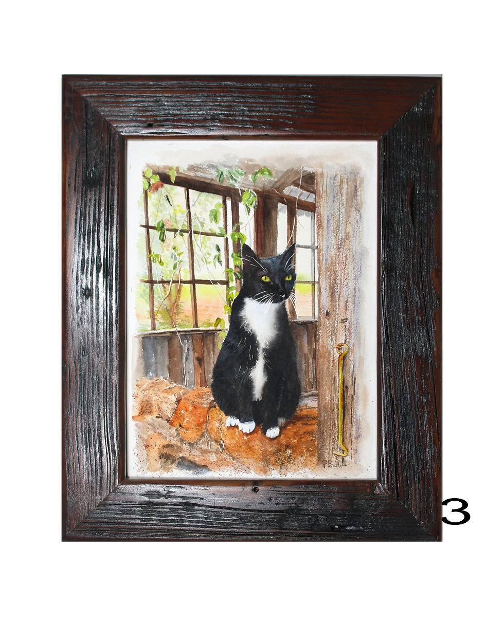 Thumbnail: Original Framed Watercolor painting of a Tuxedo black and white cat sitting on an old rocky wall in a barn.