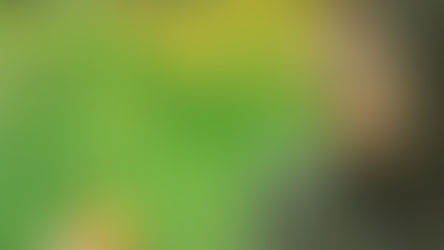 How to Live as a Woman in First-Century Israel