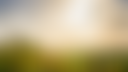 Winemaking in First-Century Israel