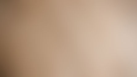 Who were the Pharisees and Sadducees?