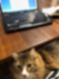11 Tips to Show You How to Write Your Novel in a Year - As a Working Parent! Jump in the Way with Katrina D Hamel at https://katrina-d-hamel.com