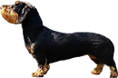 Hermine 2.png