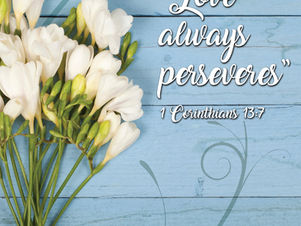 Love Always Perseveres 