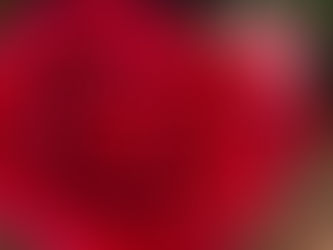 "Raise your Tambourine" Recap Video