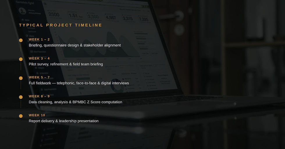bpmbc-css-project-timeline-weeks-b2b-customer-survey