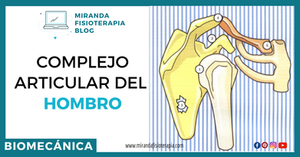 complejo articular del hombro