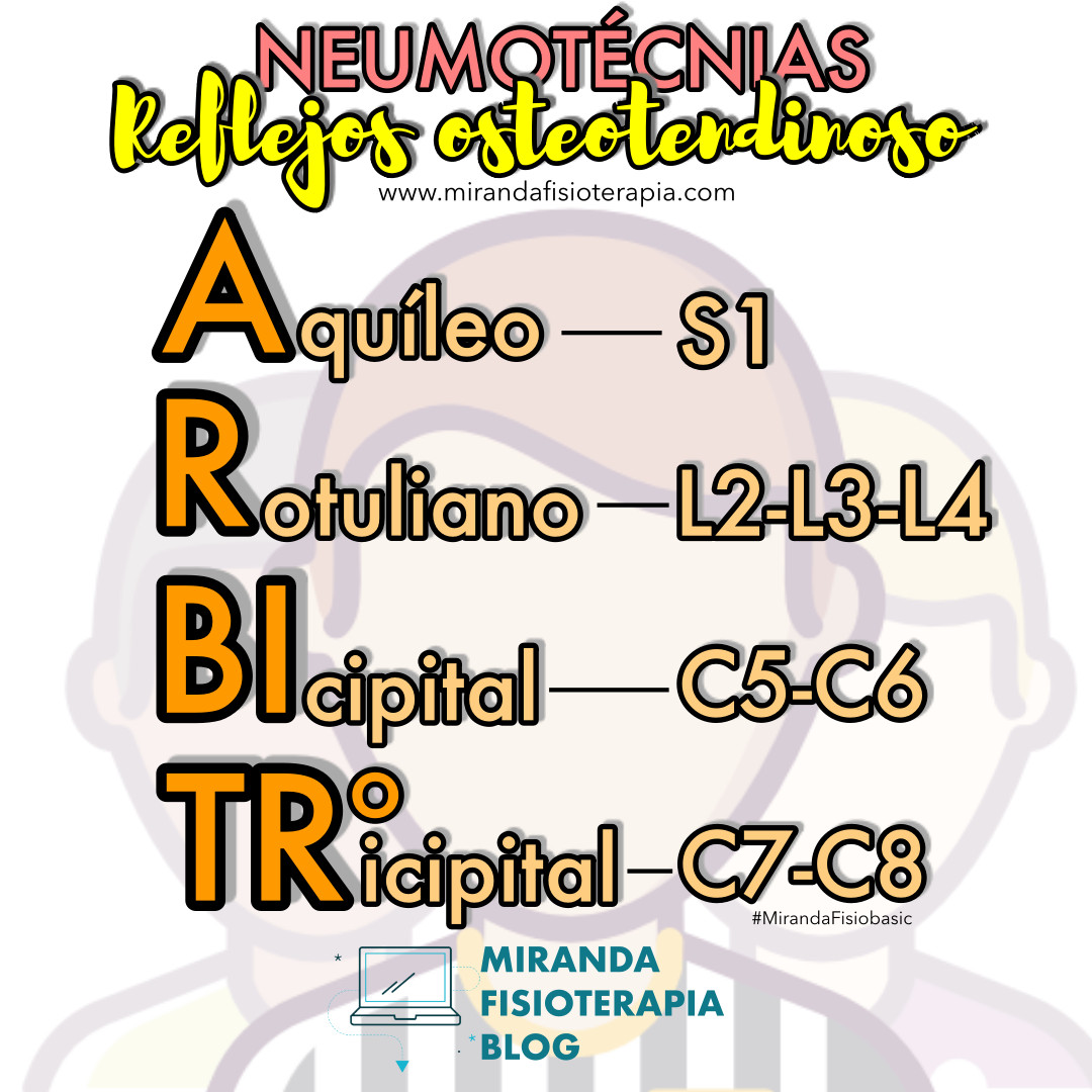 Reflejos Osteotendinosos