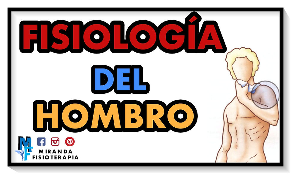 Fisiología del hombro - biomecánica-hombro - Miranda Fisioterapia BLOG