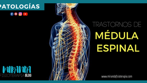 Patologías de la médula espinal