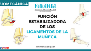 Función estabilizadora de los ligamentos de la muñeca