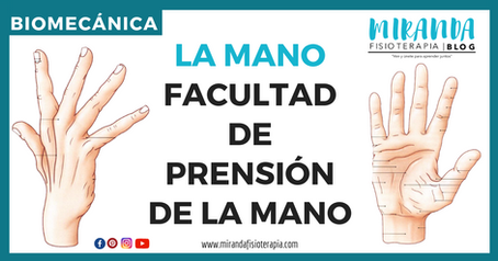 Facultad de prensión de la mano