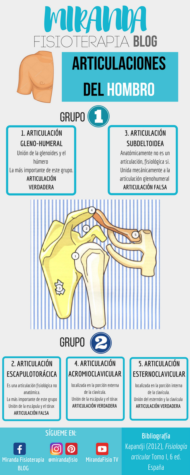 ARTICULACIONES DEL HOMBRO