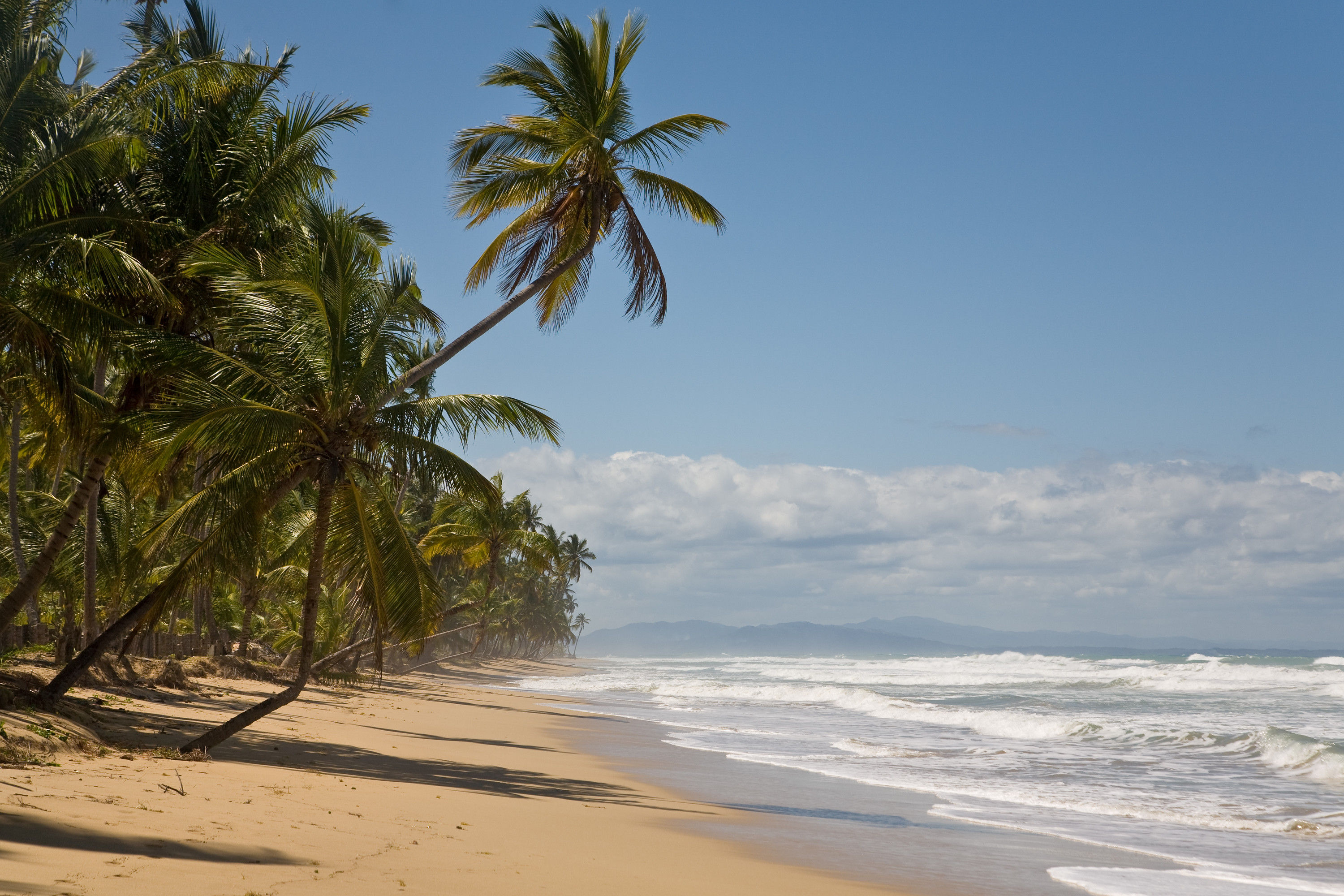 Dream beach No. 40
