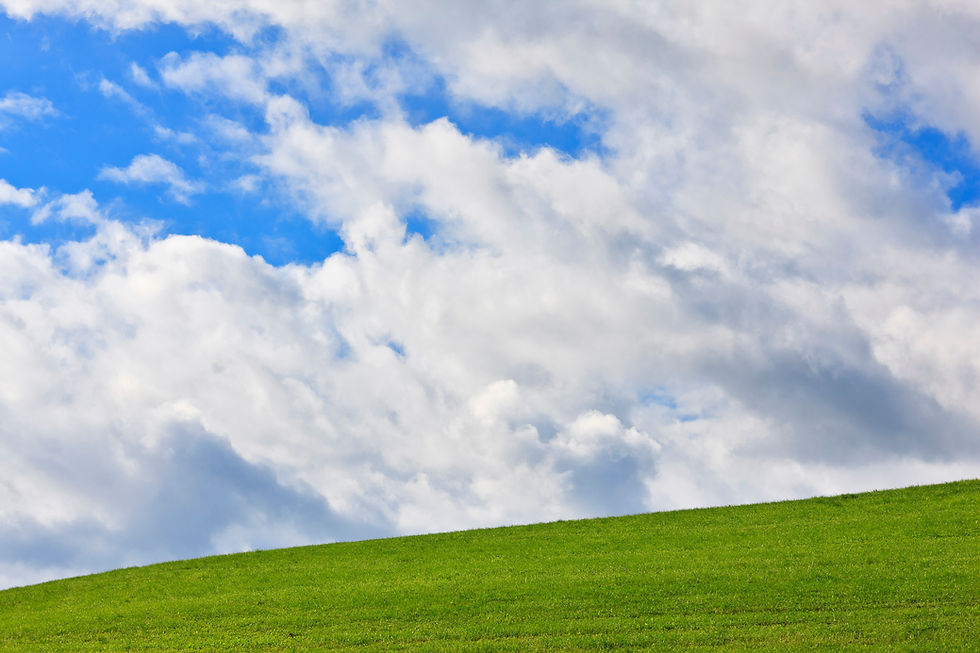 BT_FELDER Nr.: 42-29362245