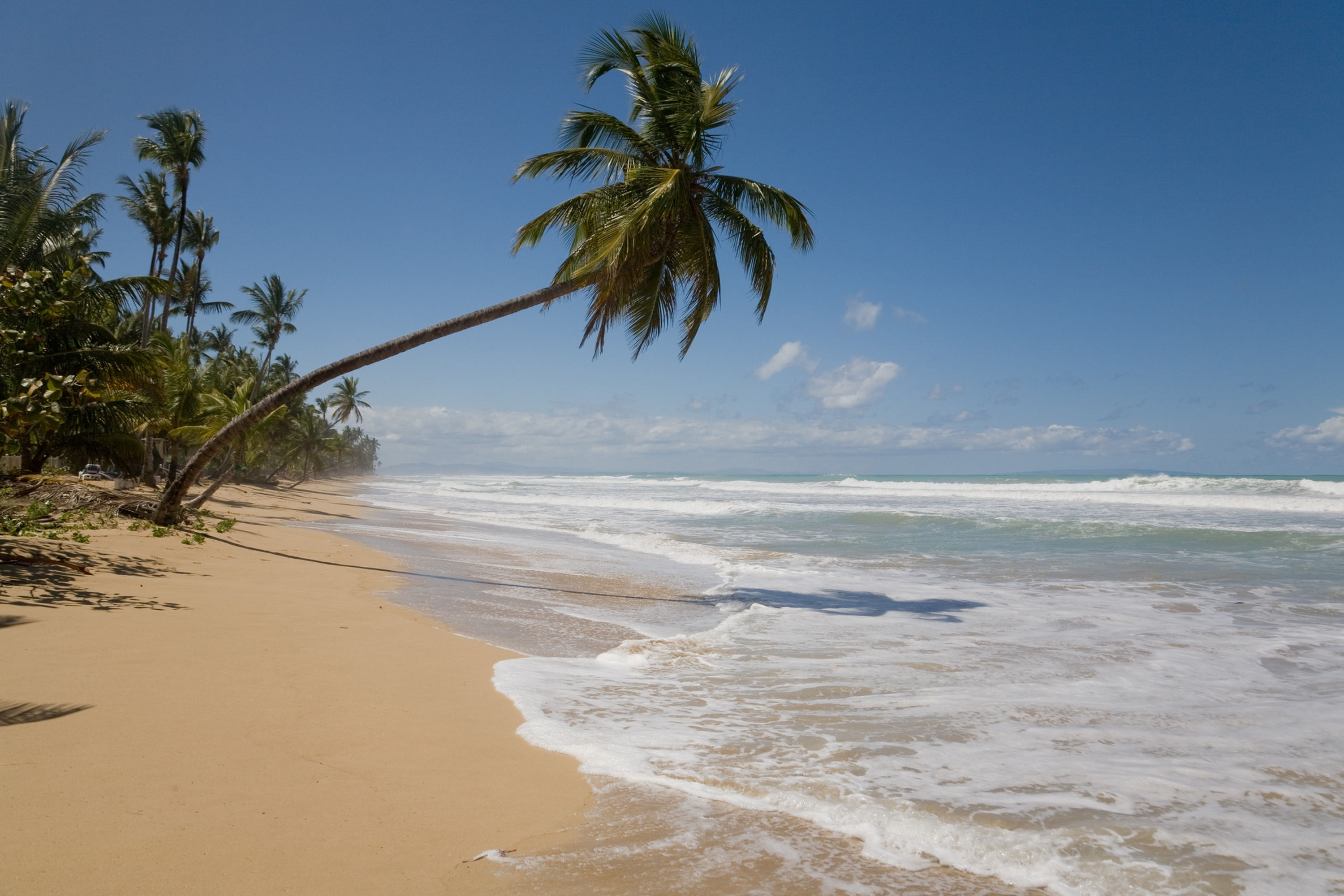 Dream beach No. 35