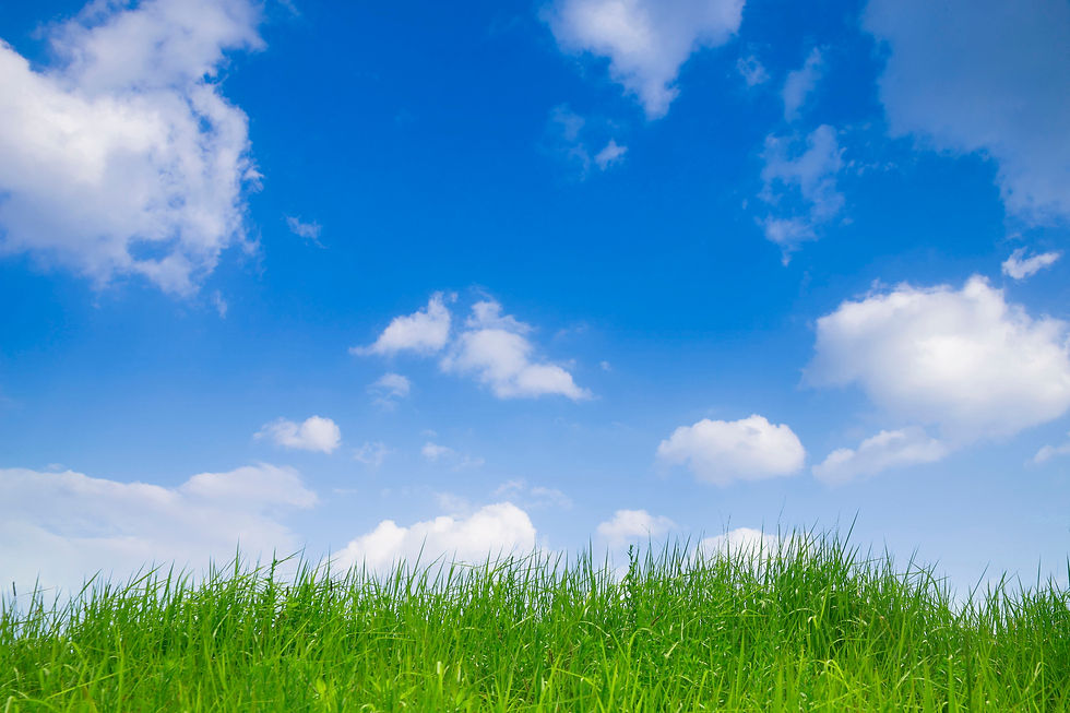 BT_FELDER Nr.: 42-25254275