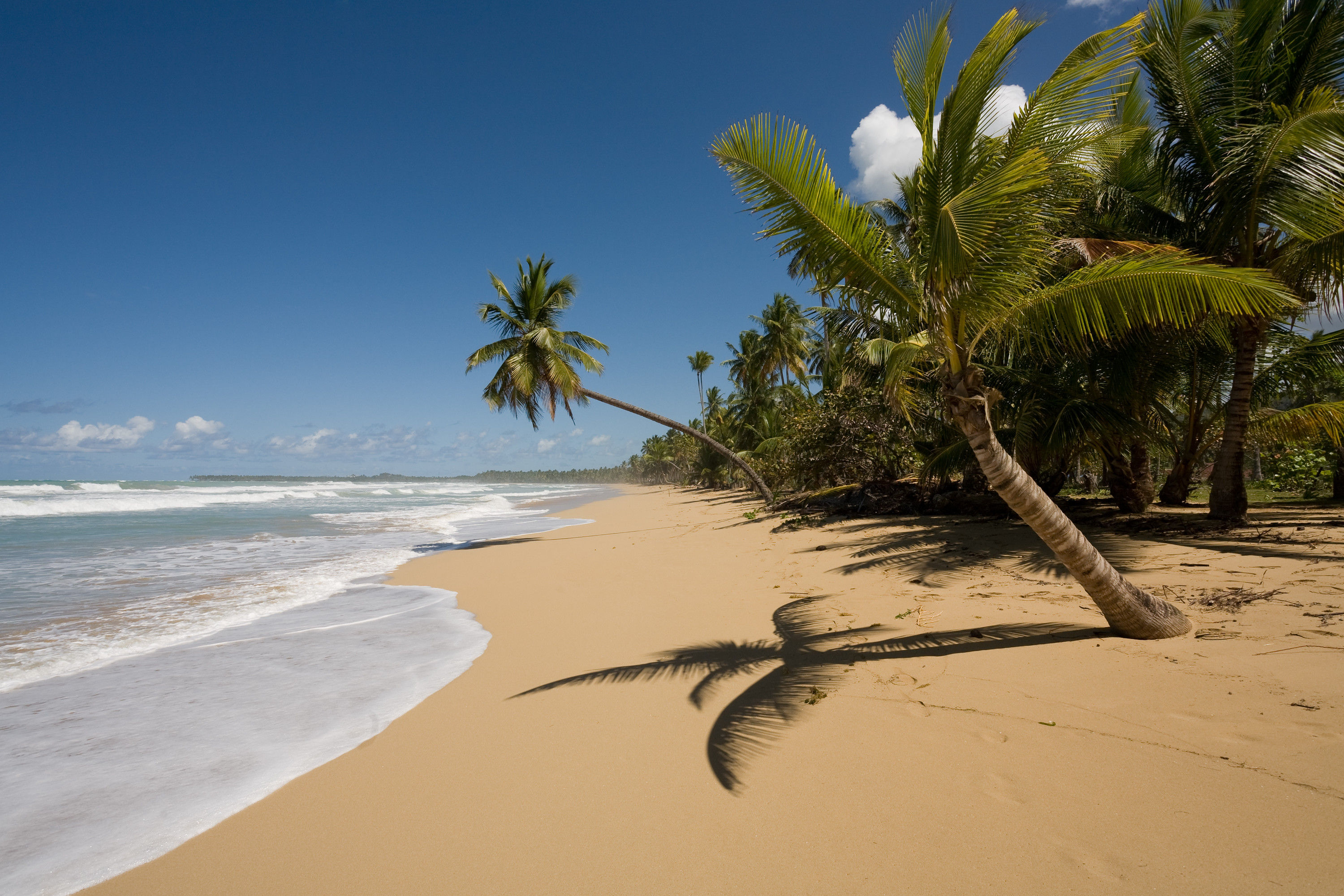 Dream beach No. 39