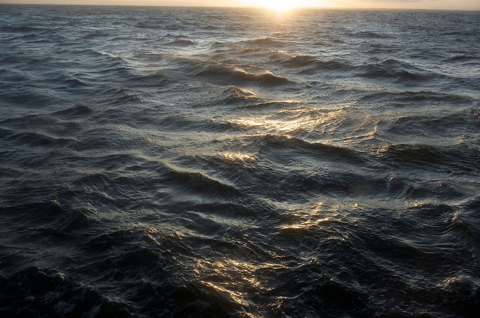 BT Ostsee II Nr. : 42-27338151