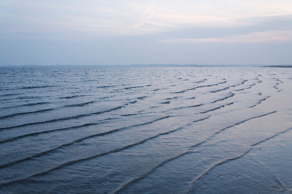 BT_SYLT-2 Nr. 42-29134602