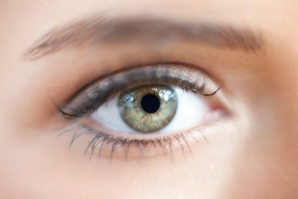 BT Auge Nr. 42-29422132