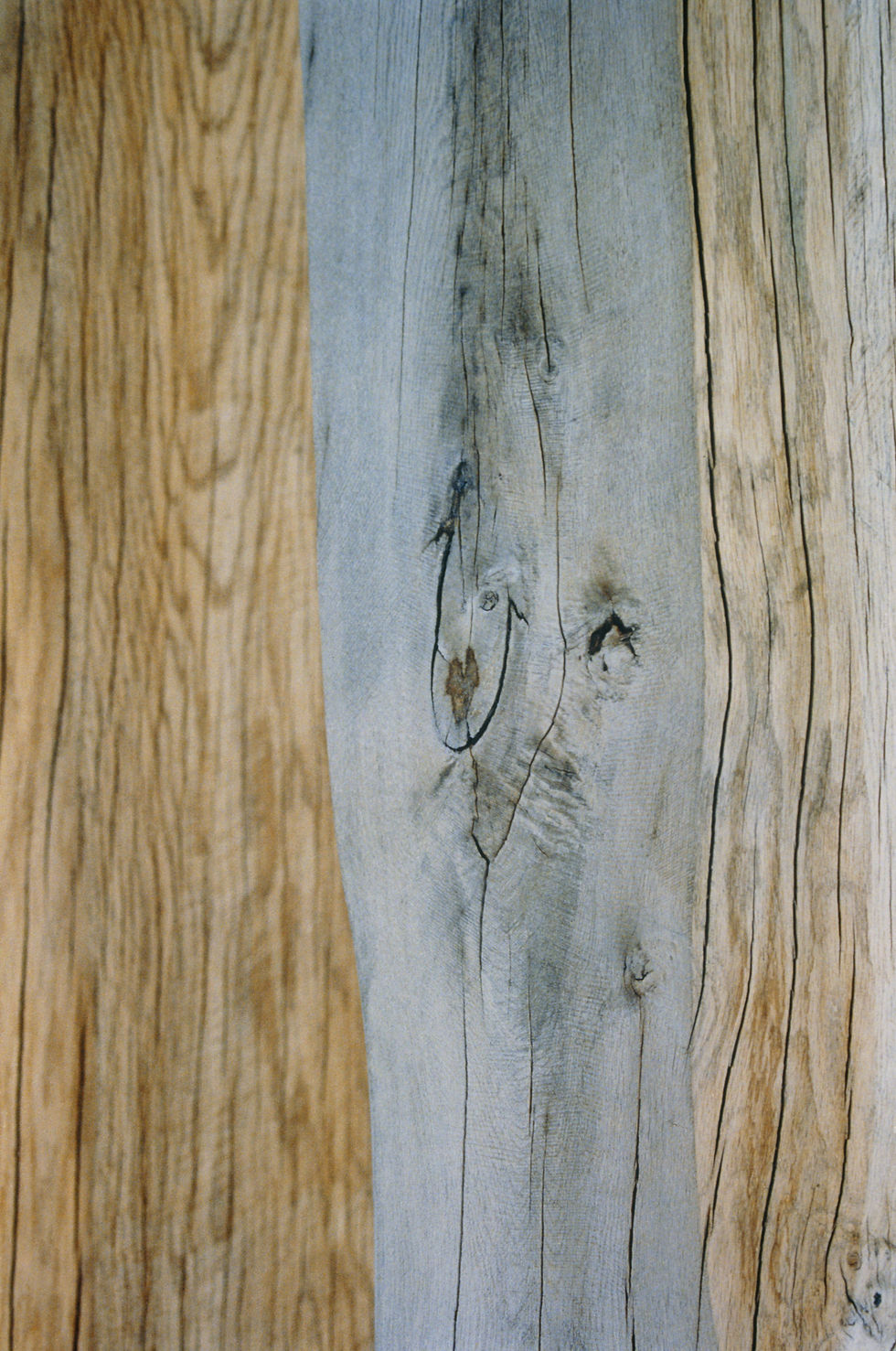 Miniaturbild: Wood II No. 1