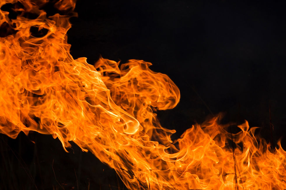 Thumbnail: BT_Fire Nr. 42-56233647
