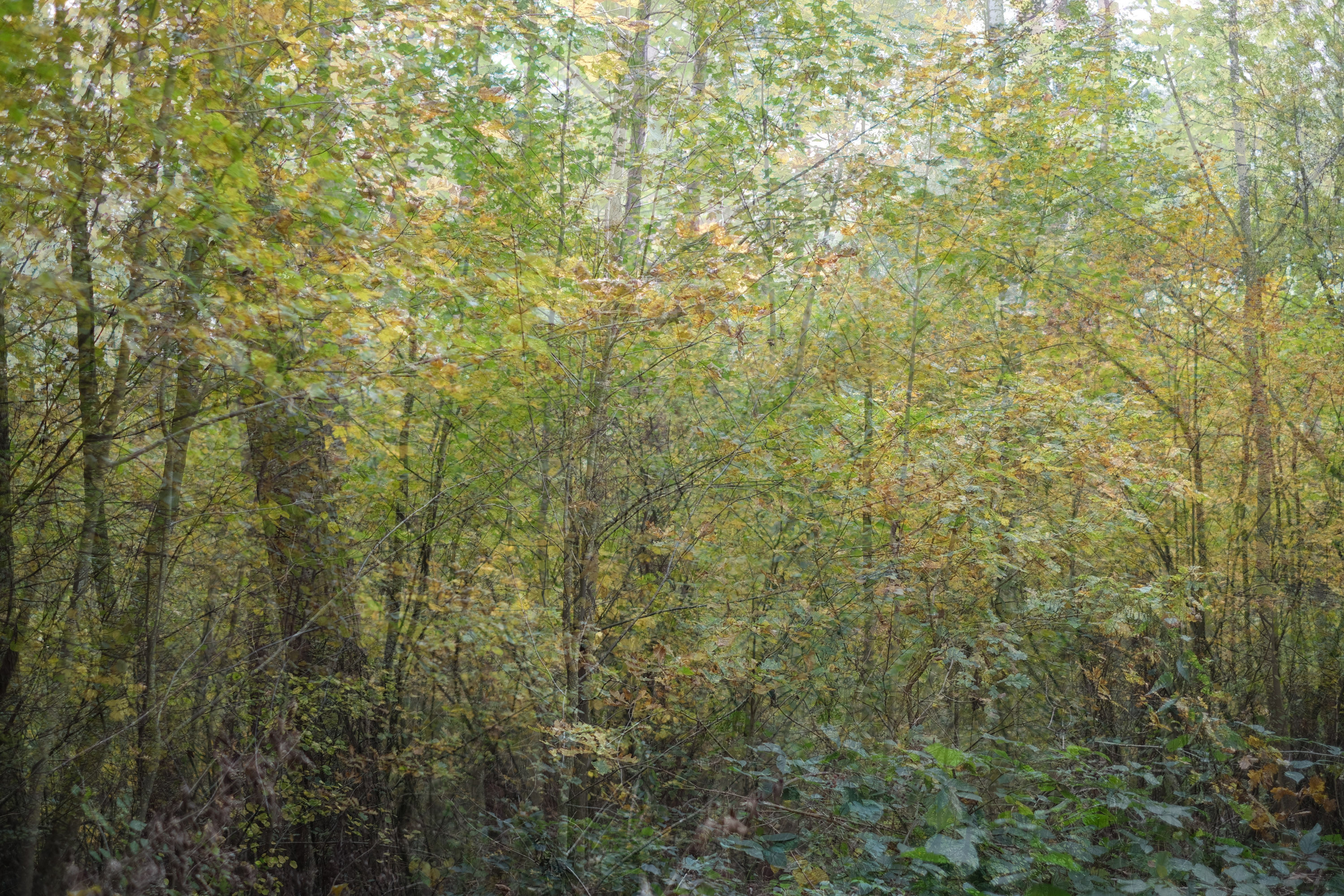 Nature Double No. 14