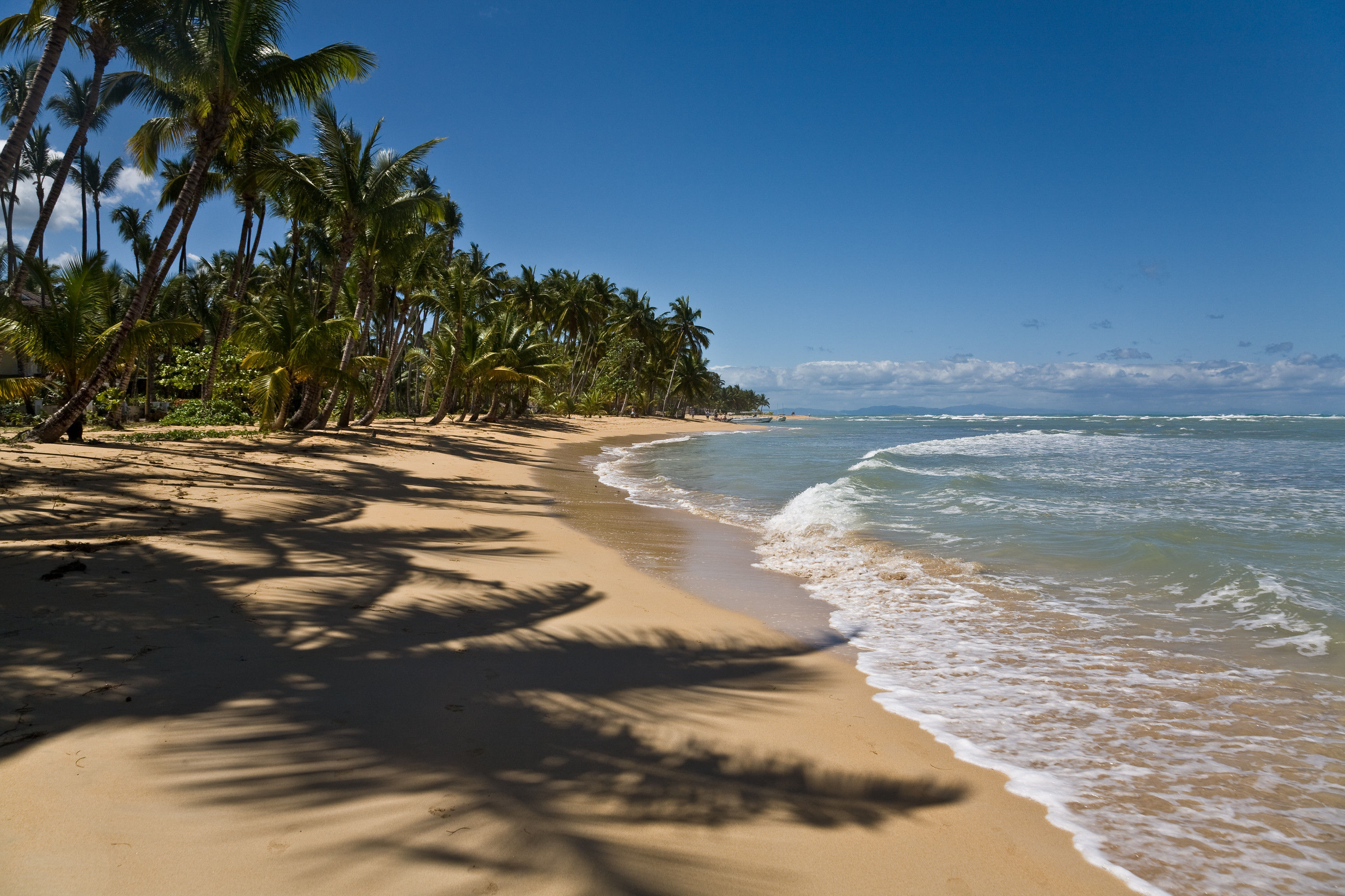 Dream beach No. 33