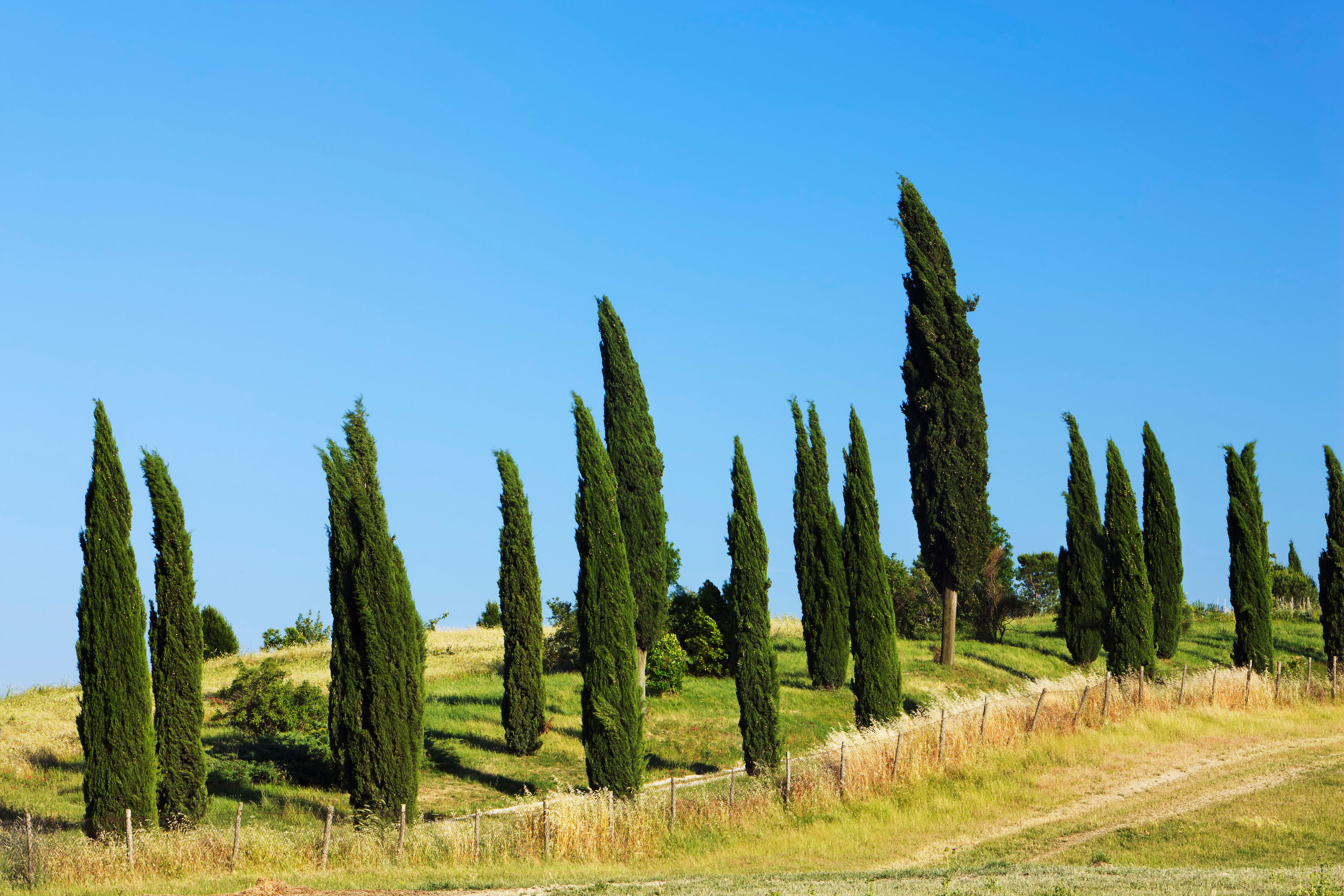 BT_TOSCANA Nr. 42-23618578