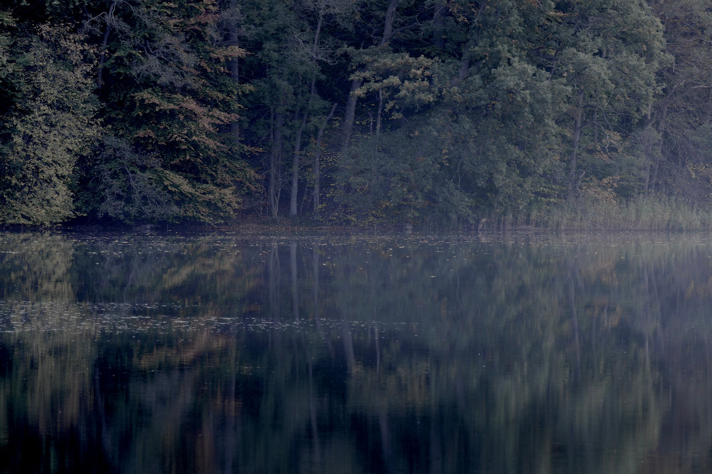 Schmaler Luzin No. 10