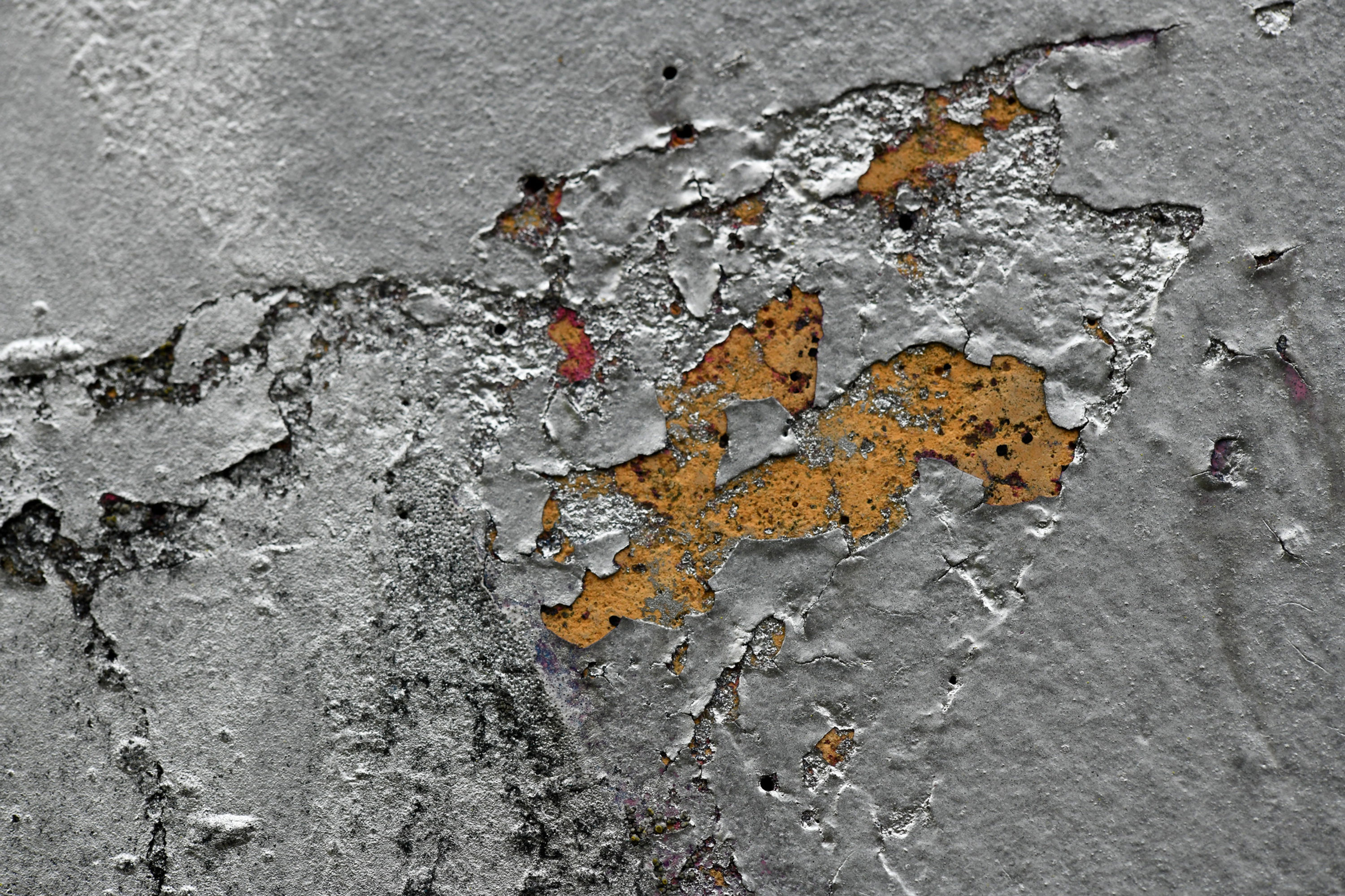 BT Color Detail Nr. Close Up