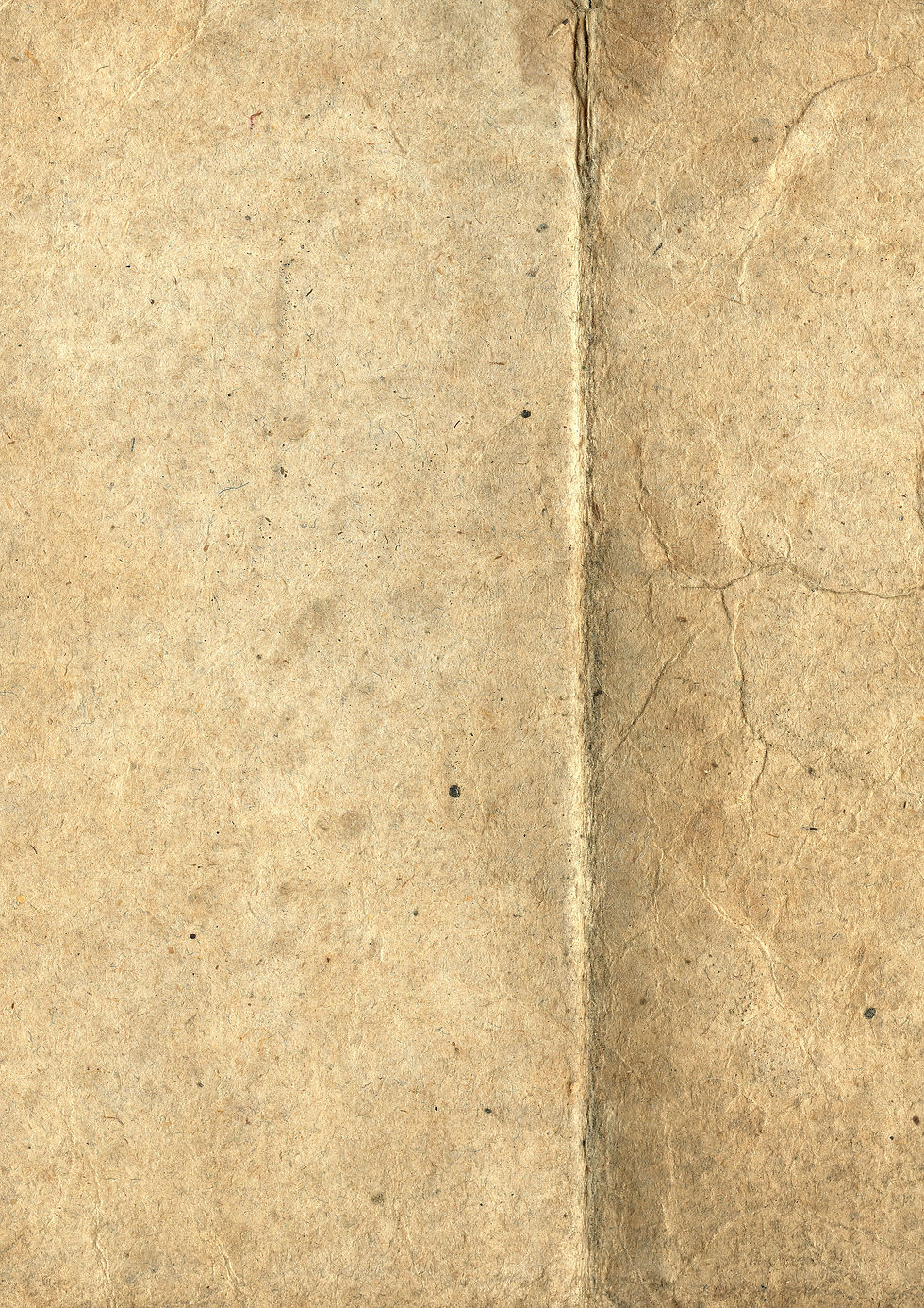 94 Vintage Leather and Paper Textures Part 1 No. 27