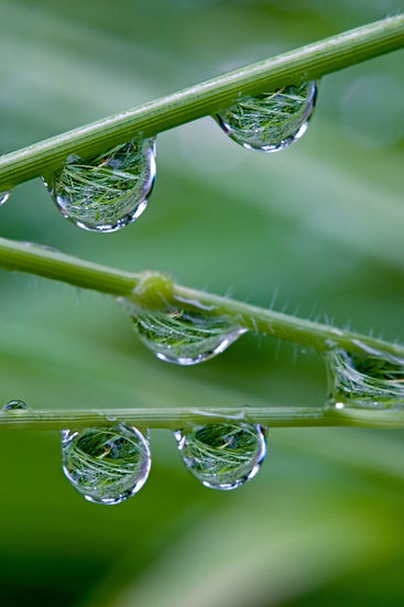 Wassertropfen No. 100