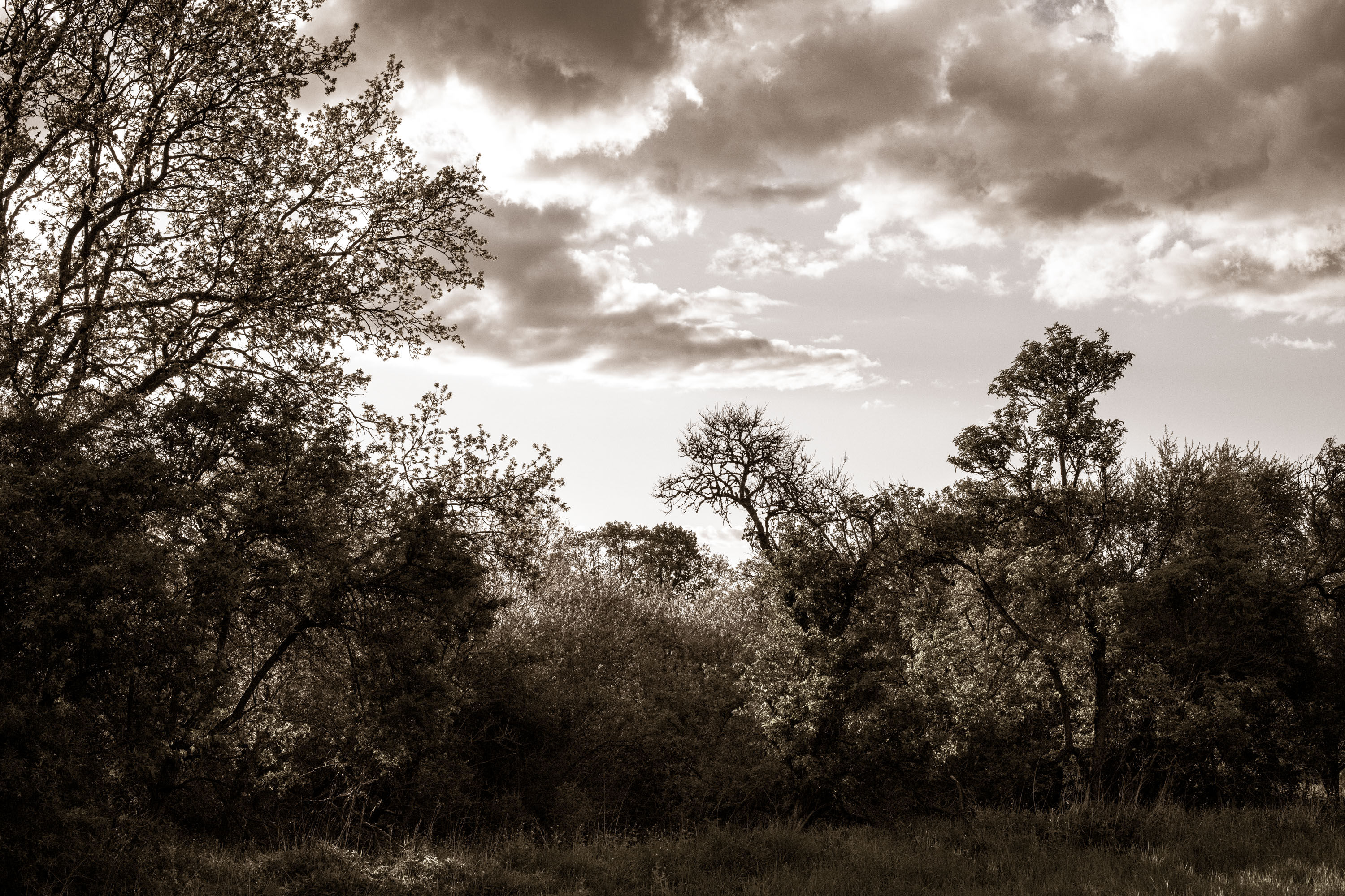 Mecklenburger Land No. 13