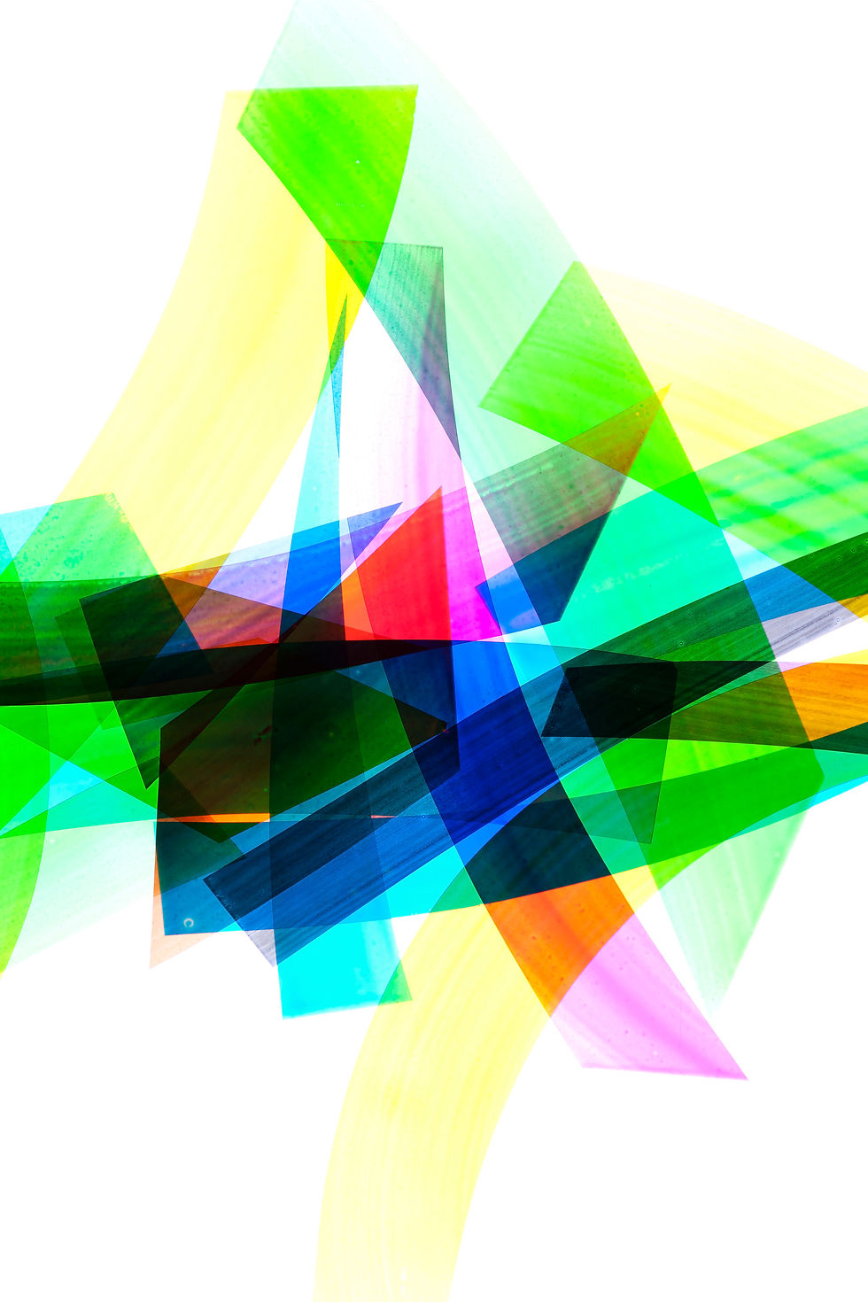 Color Bird No. 72