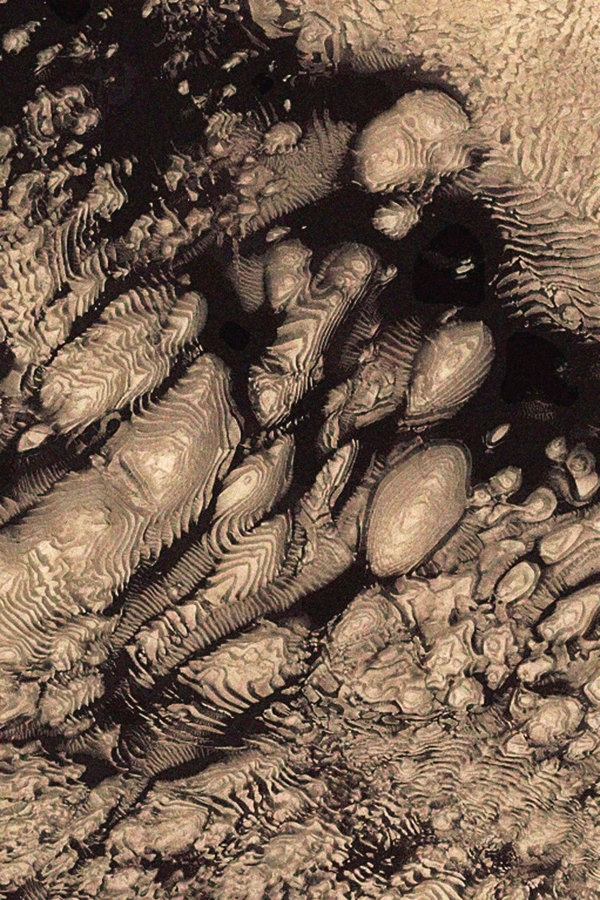 Mars No. 42-22377838