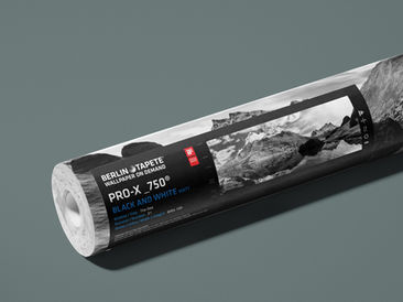 Produktabbildung 
PRO-X_750® UHD BLACK & WHITE | monochrome matt