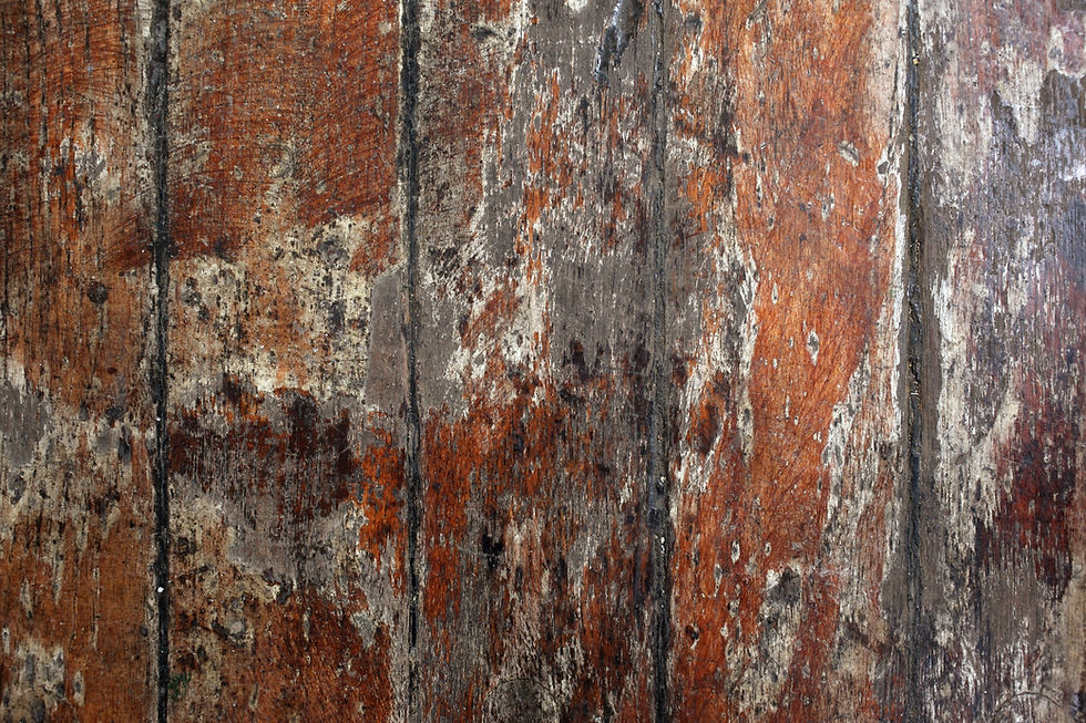 Miniaturbild: Wood II No. 28