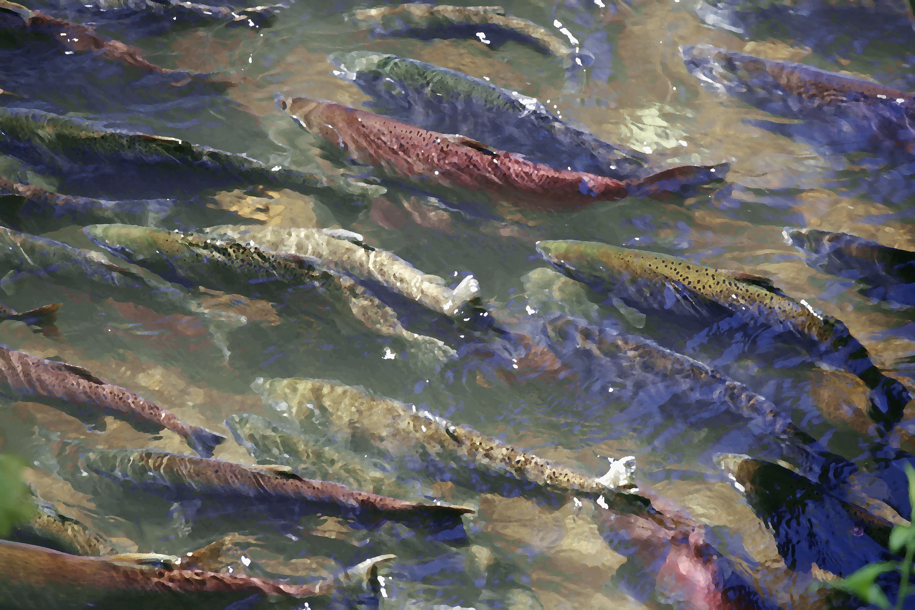 Natur Structur Macro No. 23