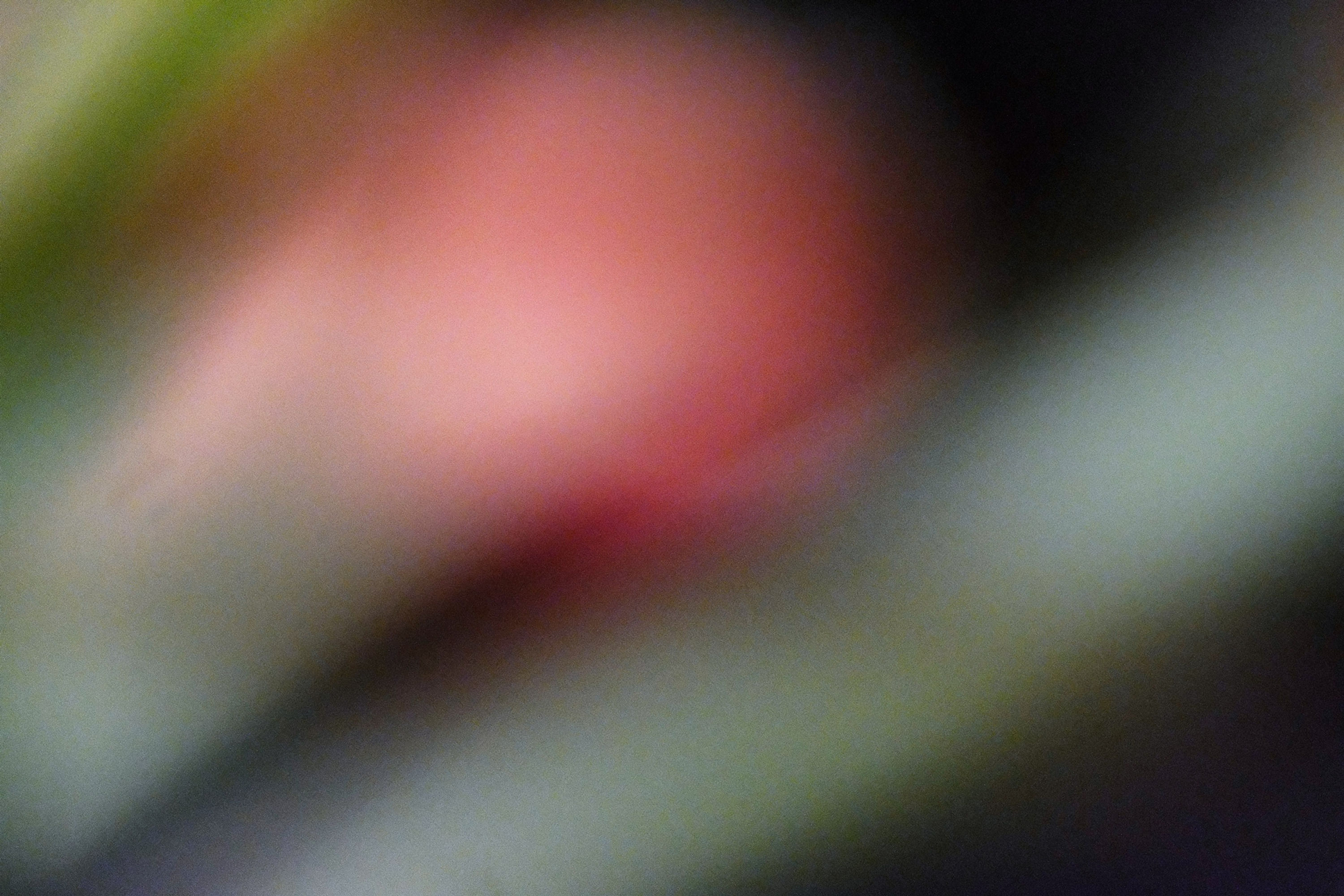 Out of focus No. 15