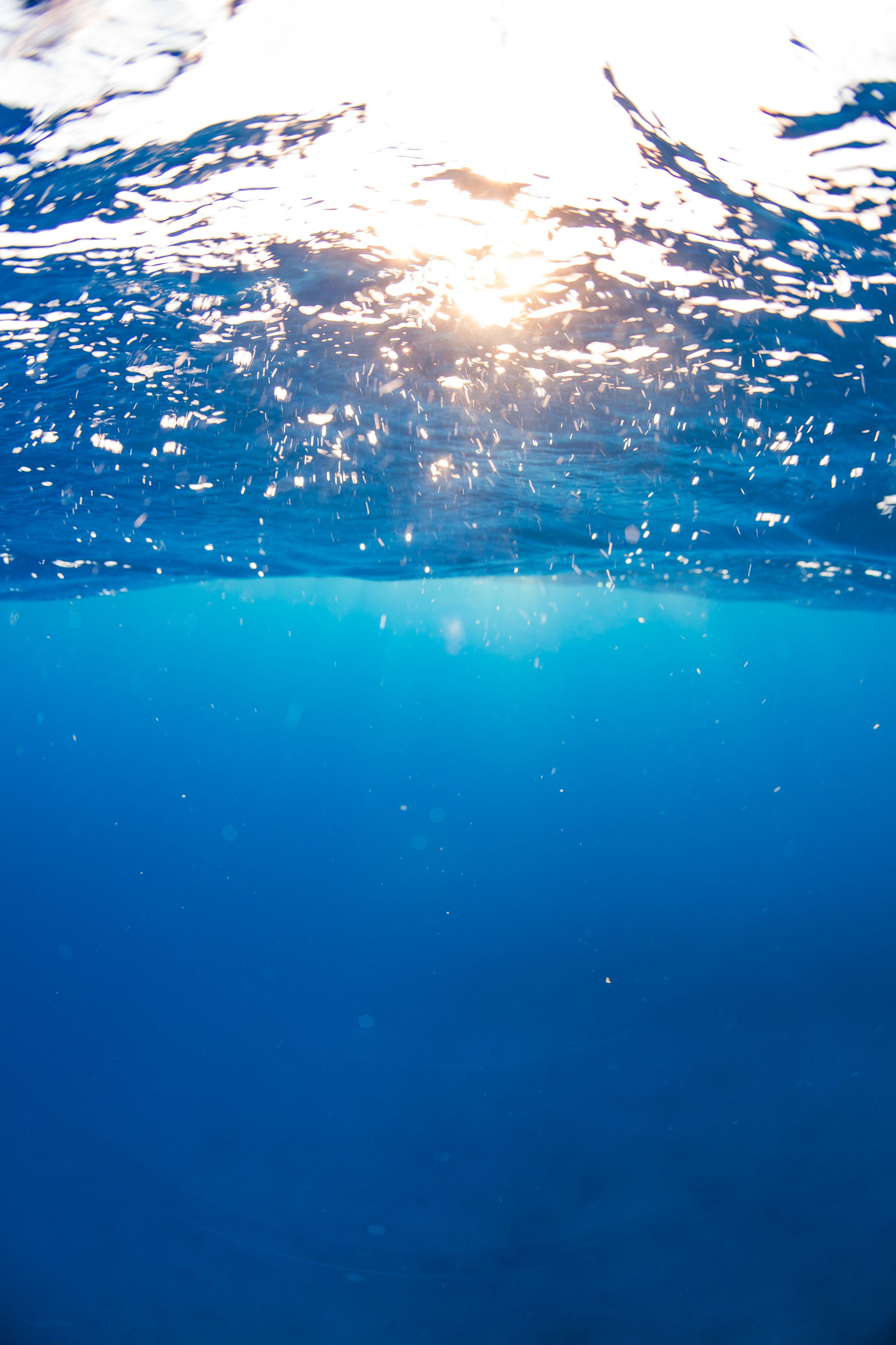 BT Open Water Nr. 42-78026641