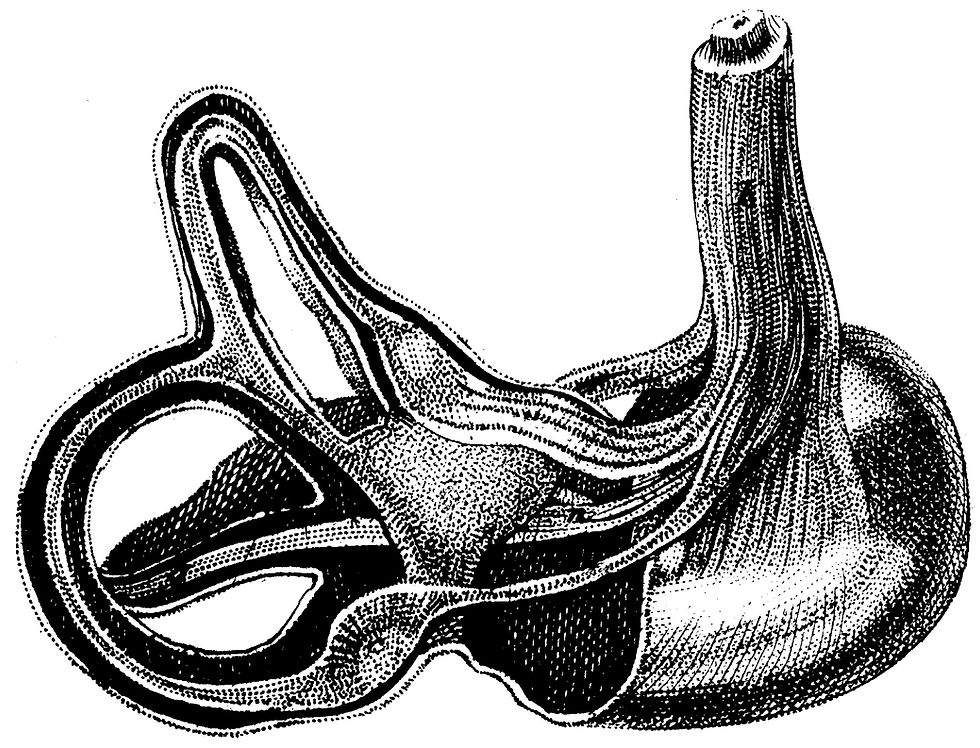 Human Body No. 11