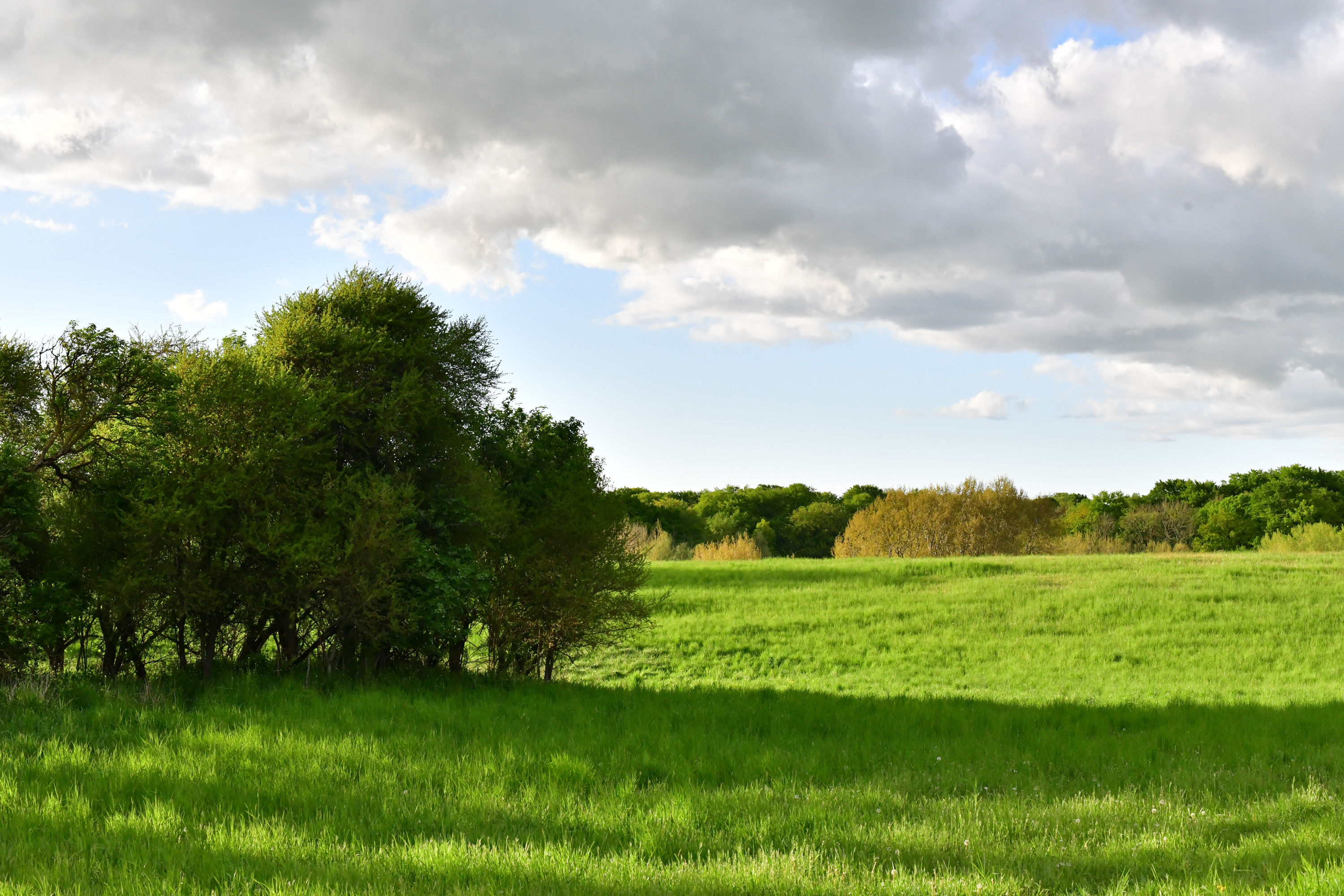 Mecklenburger Land No. 14