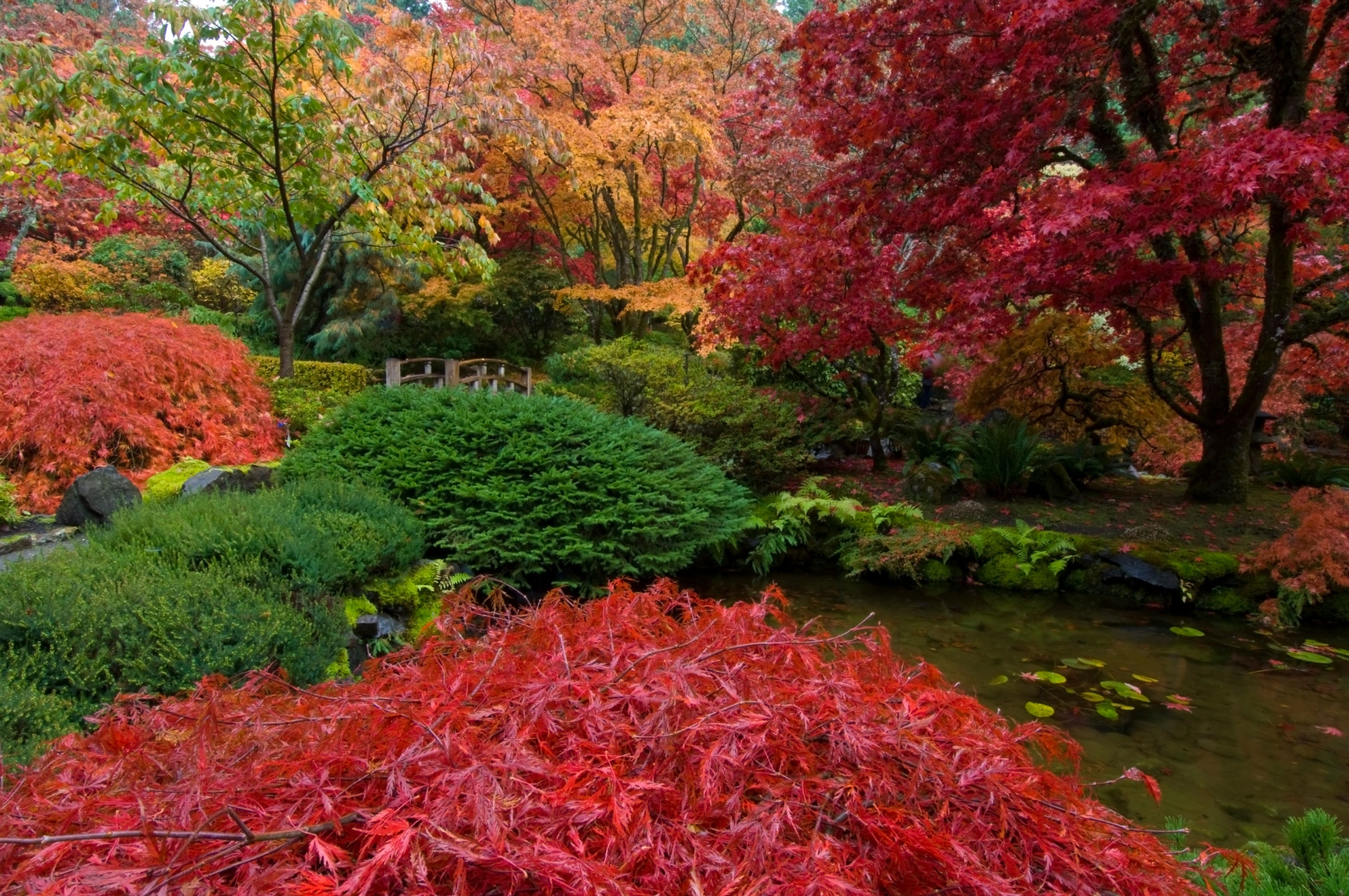 BT-ZENGARDEN Nr. 42-24129510