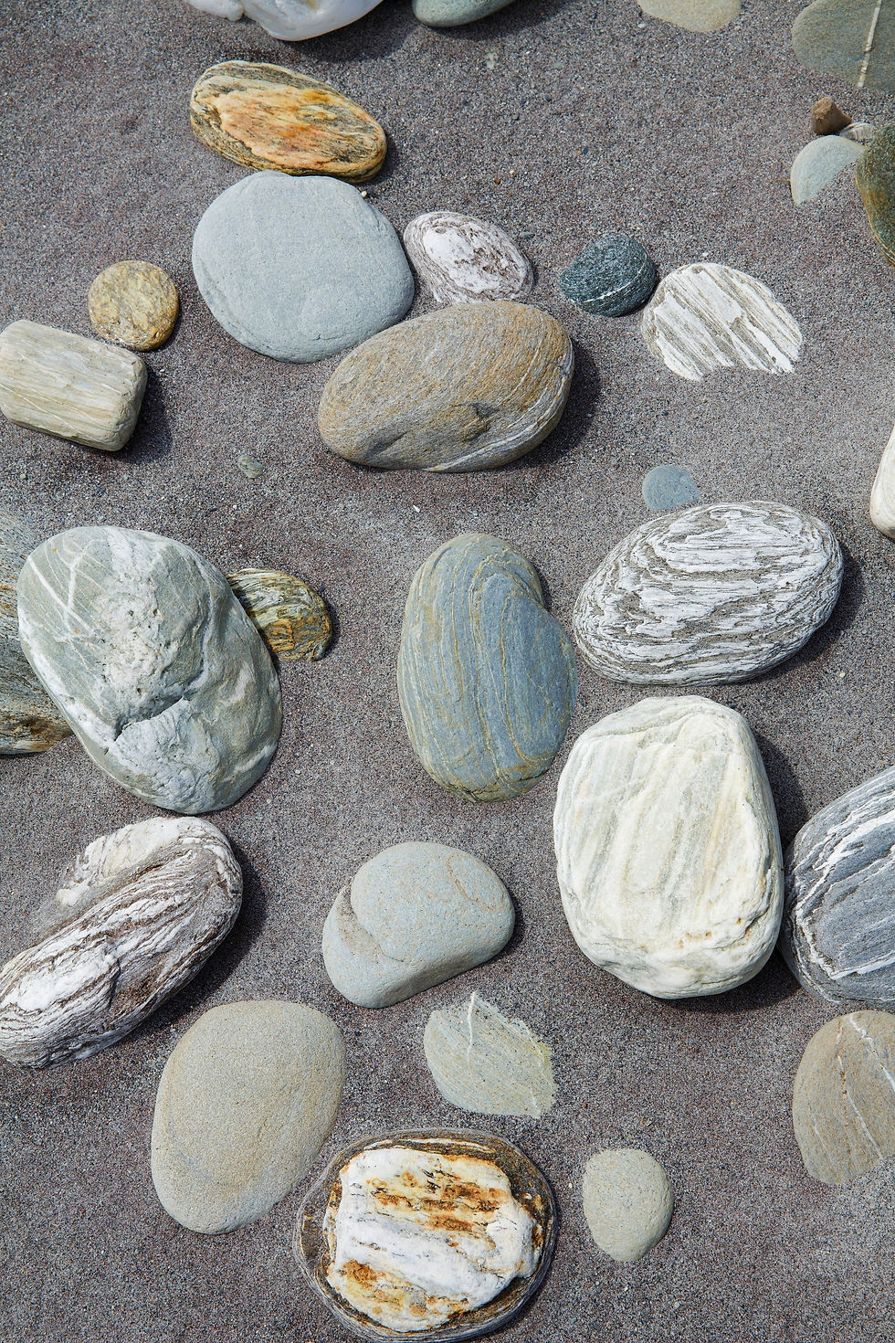 42-56321003 BT_DÜHNEN Nr.