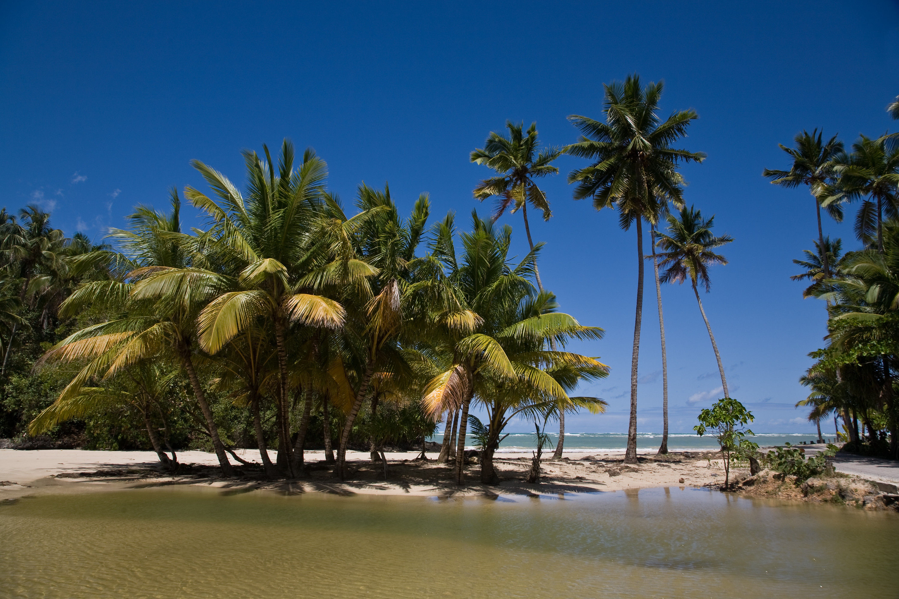 Dream beach No. 34