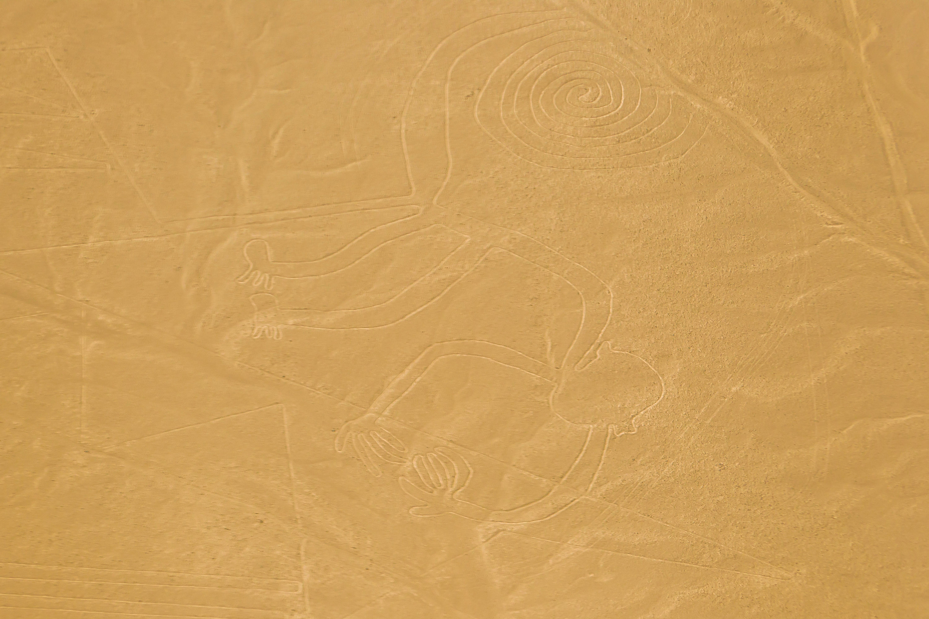 Nazca Lines No. 4