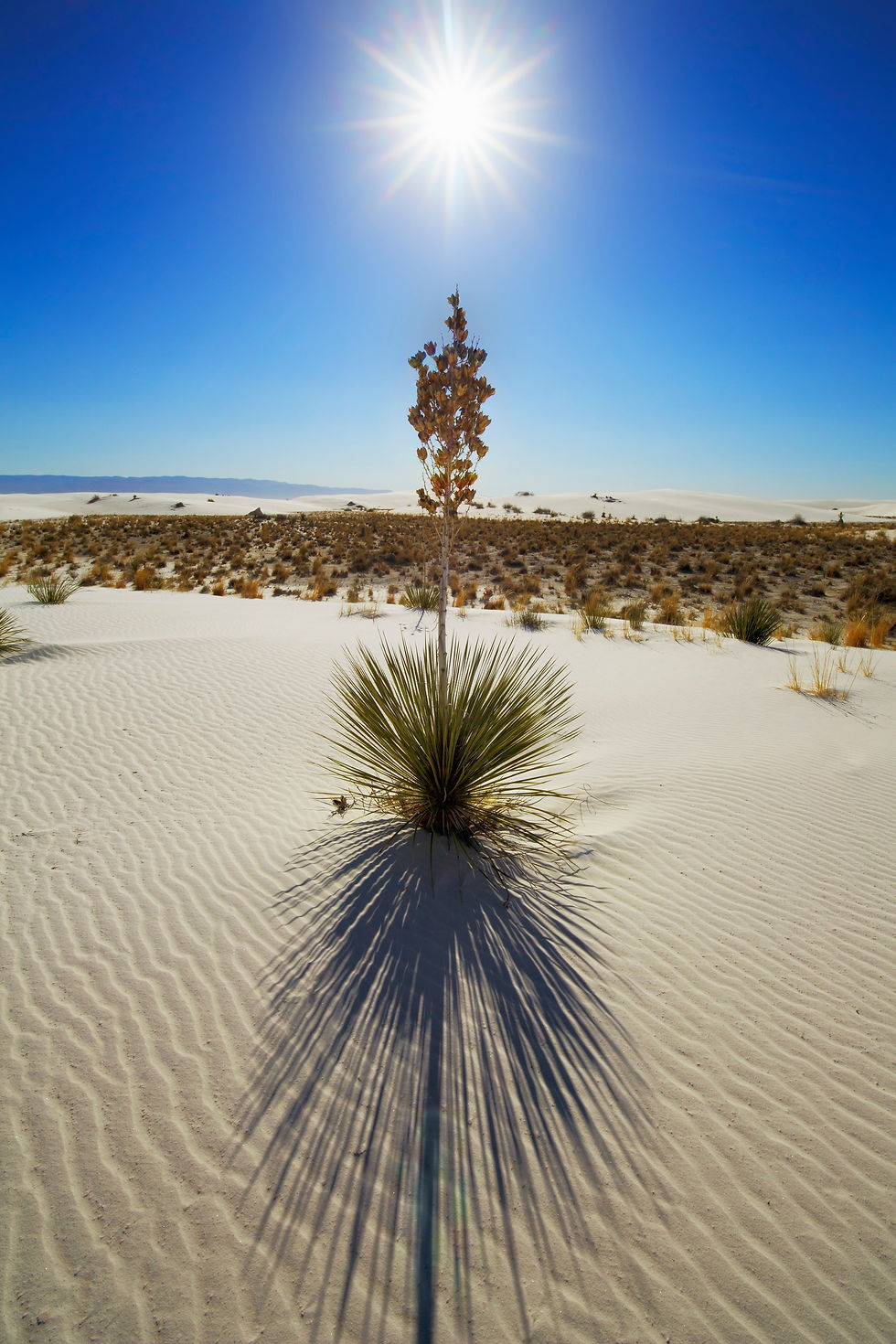 42-62268873 BT_DÜHNEN Nr.
